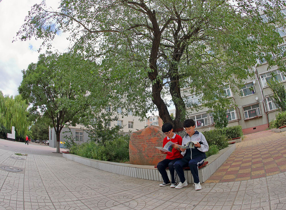 20200325114806_81812